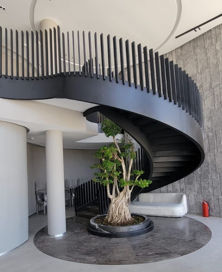 WhatsApp Image 2025-11-13 at 23.53.22